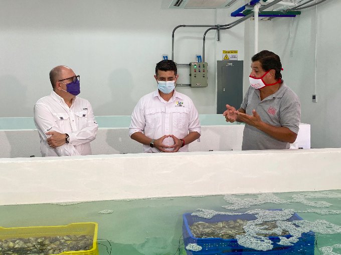 Puesta en marcha la planta de moluscos   más grande de Centroamérica  