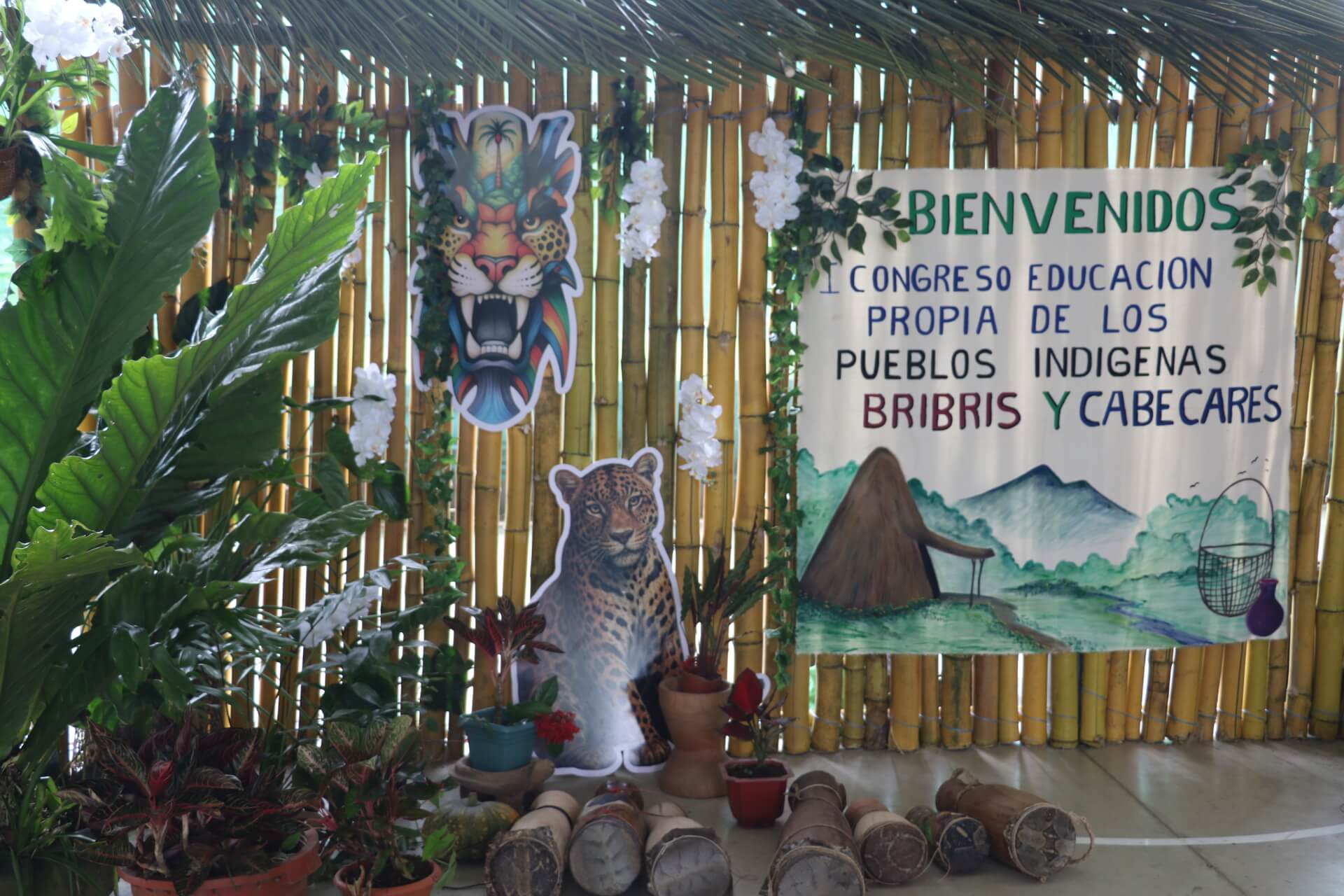 Hacia un modelo de educación propia para pueblos indígenas