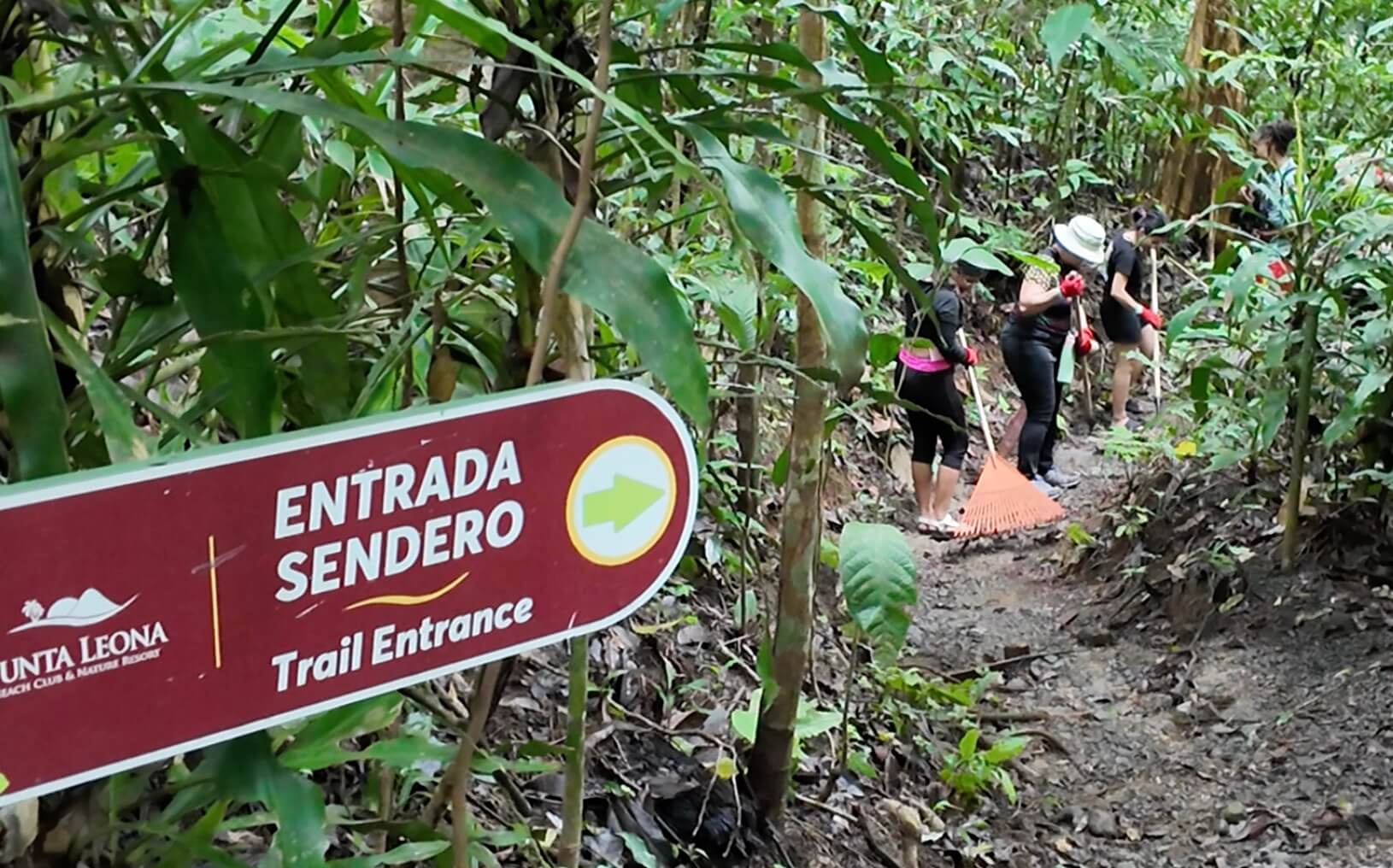 SIUA se suma a la conservación de tortugas y ecosistemas en Punta Leona