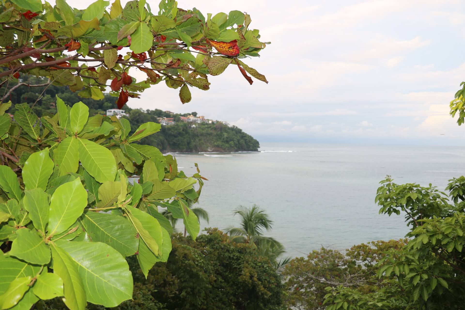 SIUA protege tortugas y ecosistemas en reserva Punta Leona
