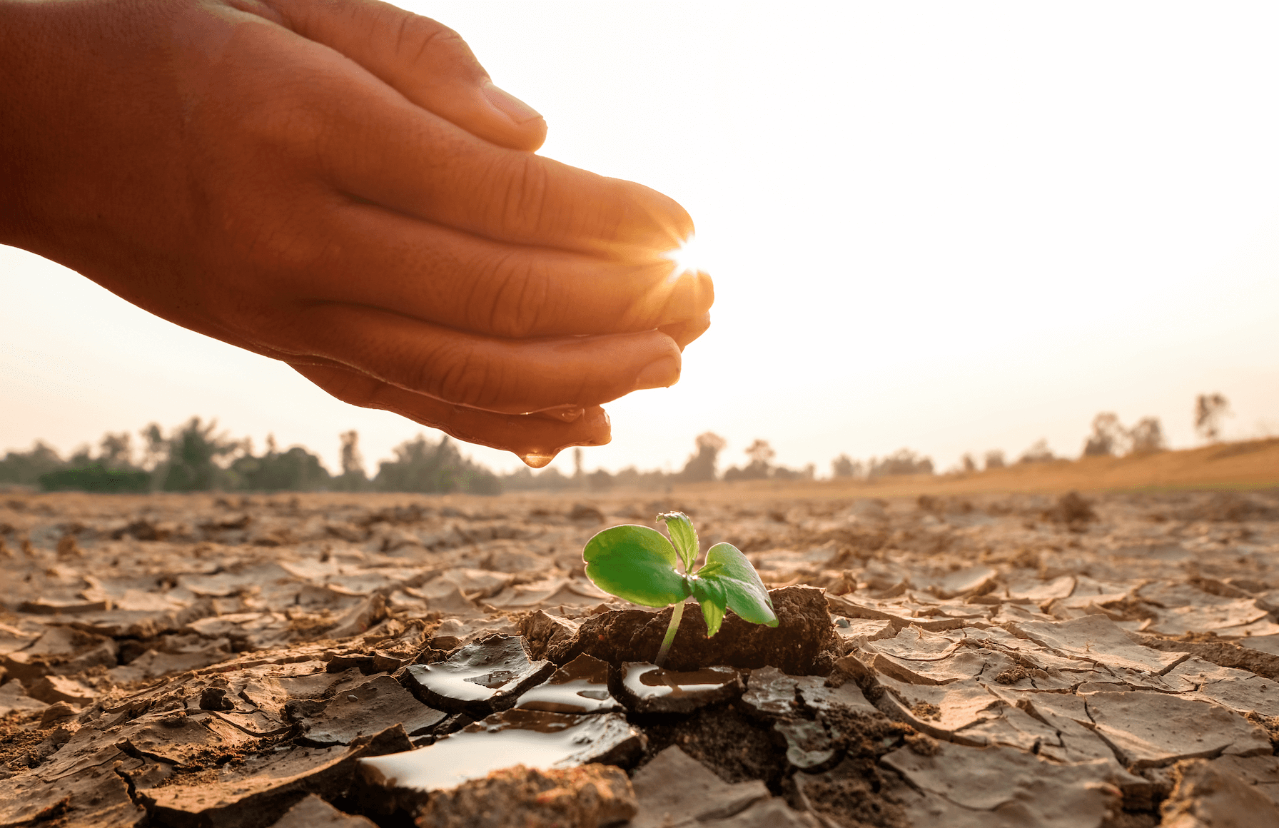 ¿Qué pasa con el clima en Centroamérica? 