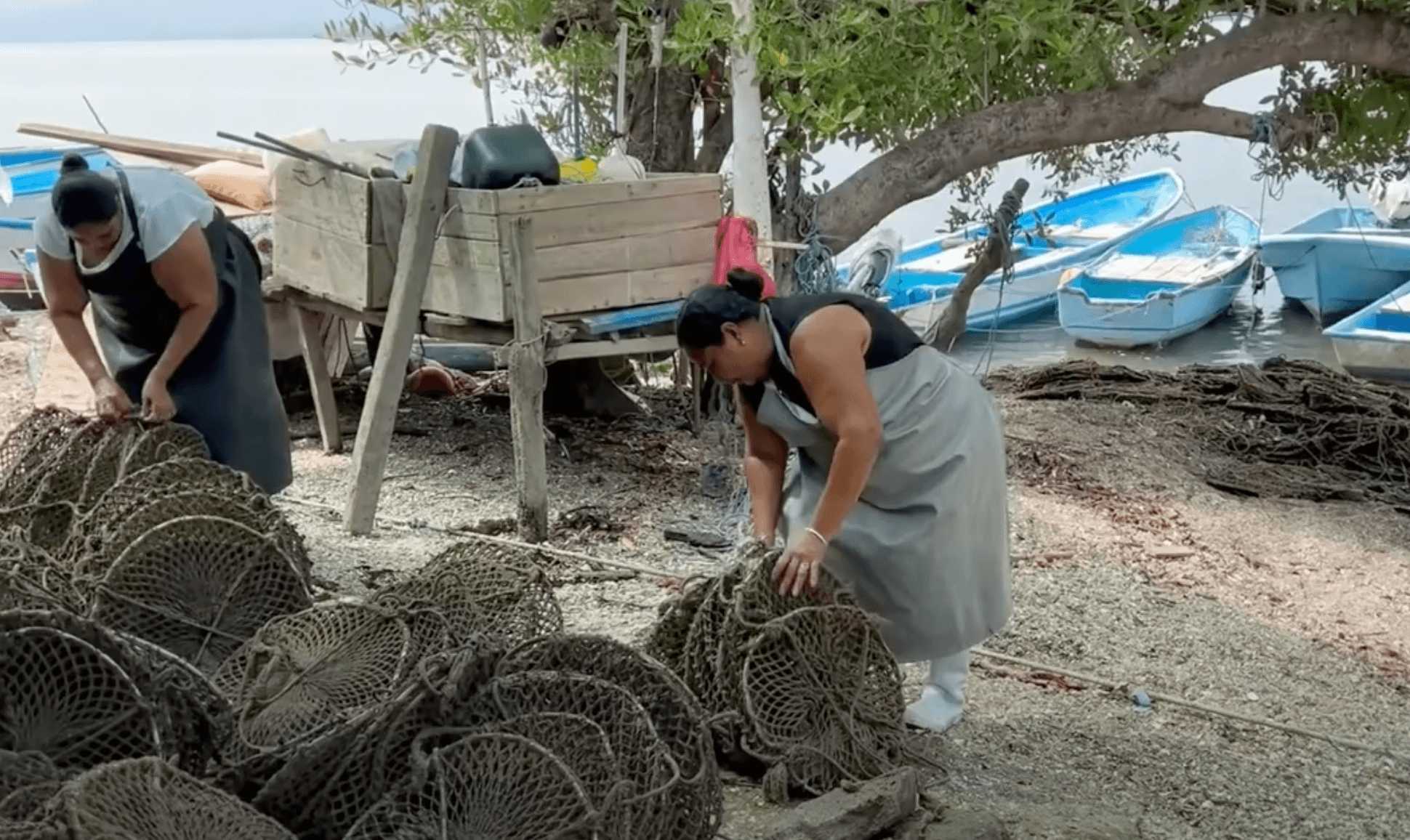 25 años formando a profesionales en el uso sostenible de recursos marinos
