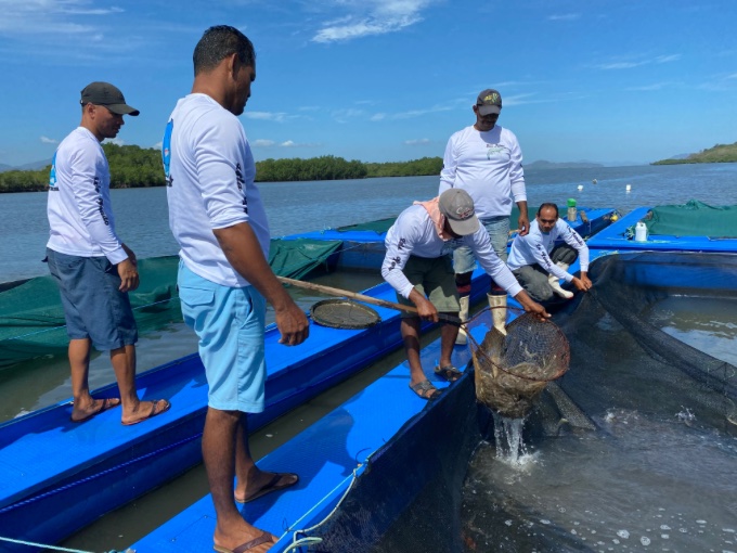 Pescadores del golfo de Nicoya empiezan  a ver la cosecha de la maricultura 