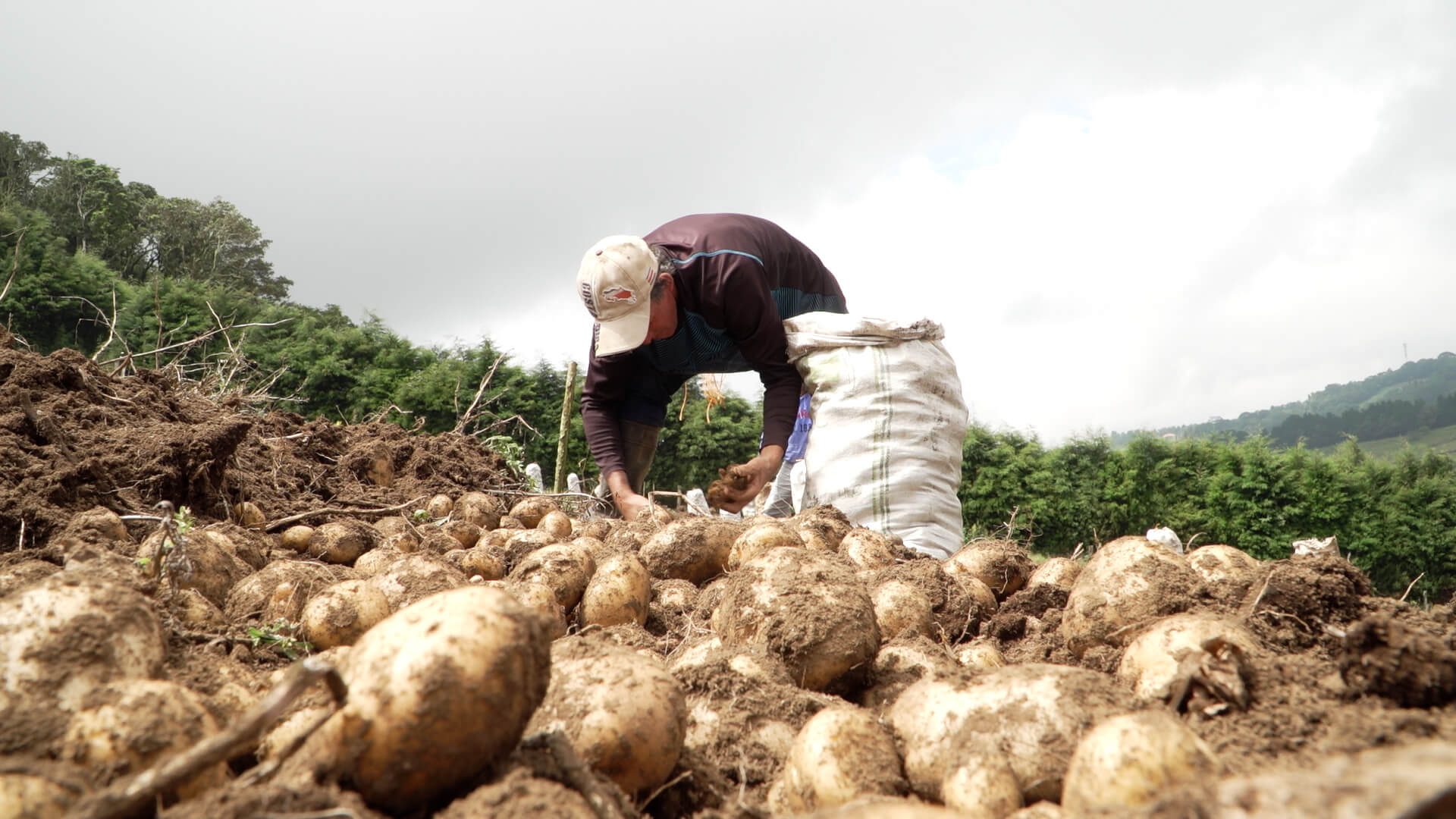 Feria de agroecología y buen vivir