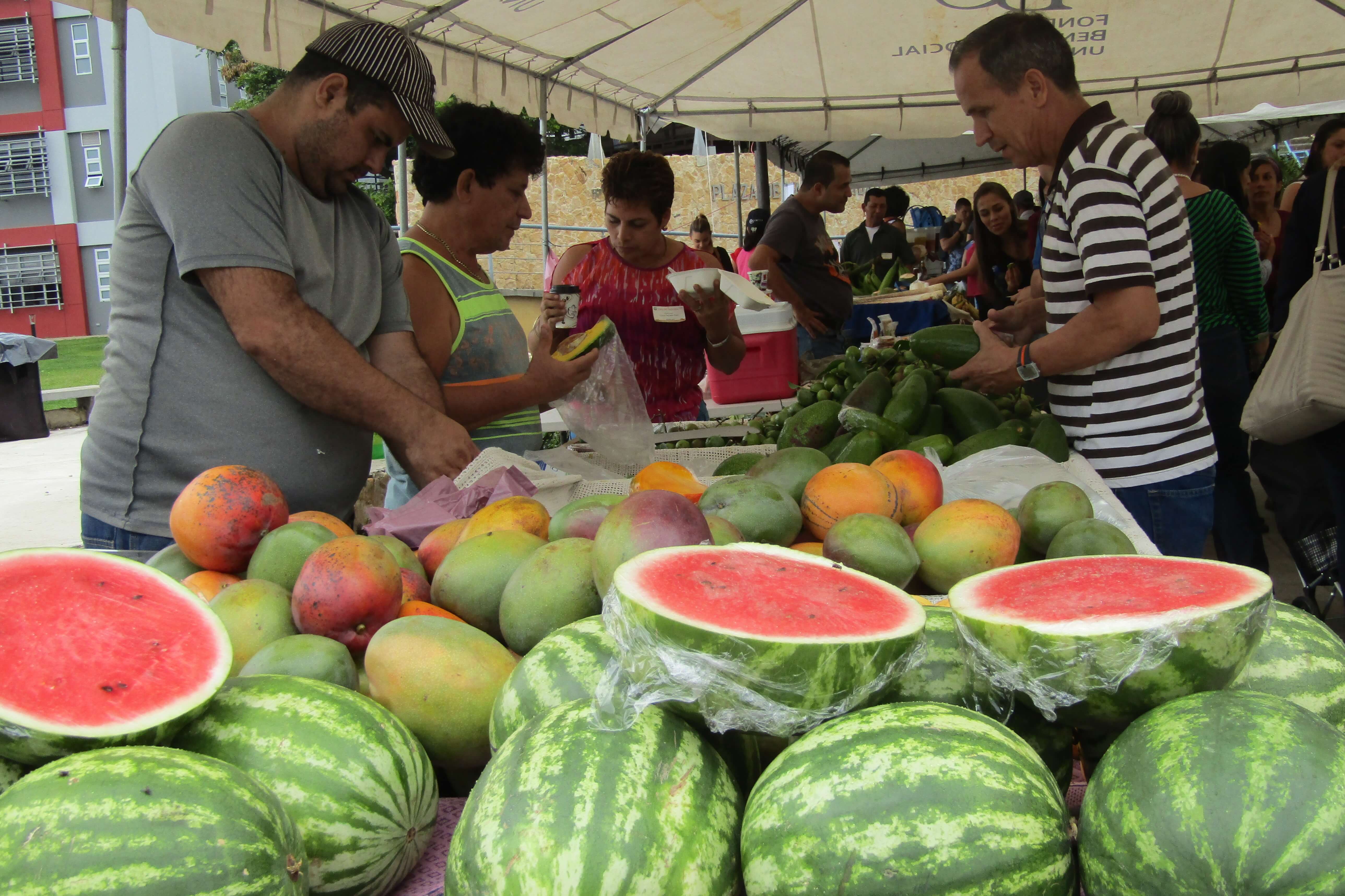 ¡Nos vamos de feria!