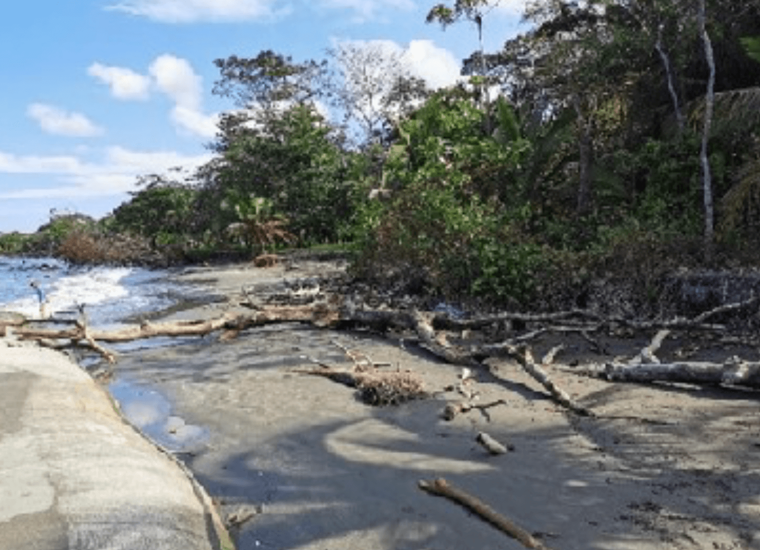 Oleaje extremo acelera erosión en el Caribe