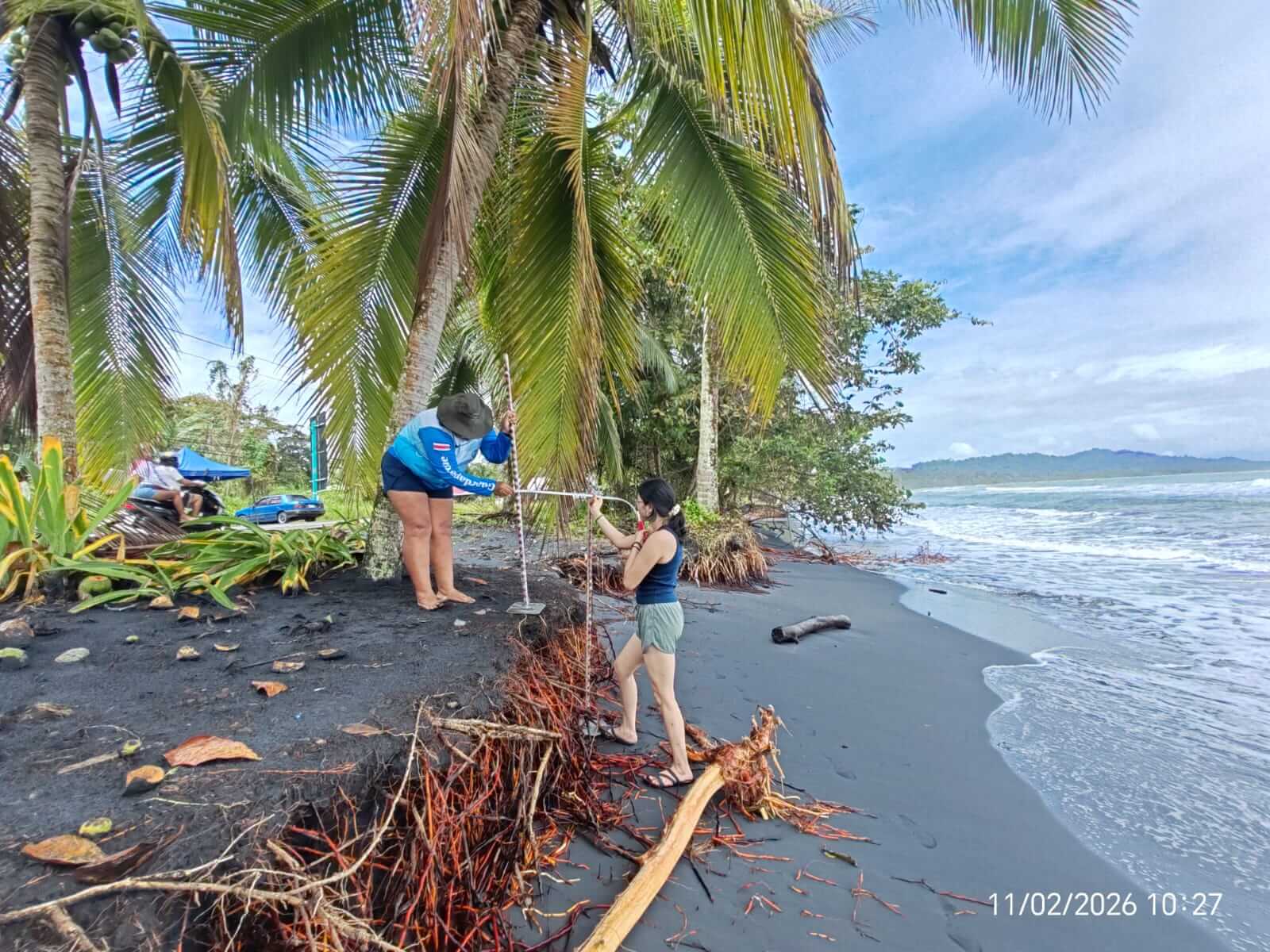 Erosión del Caribe es menor donde hay vegetación
