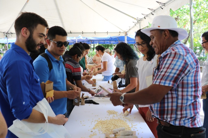 Buscan potenciar conservación y uso de maíz criollo