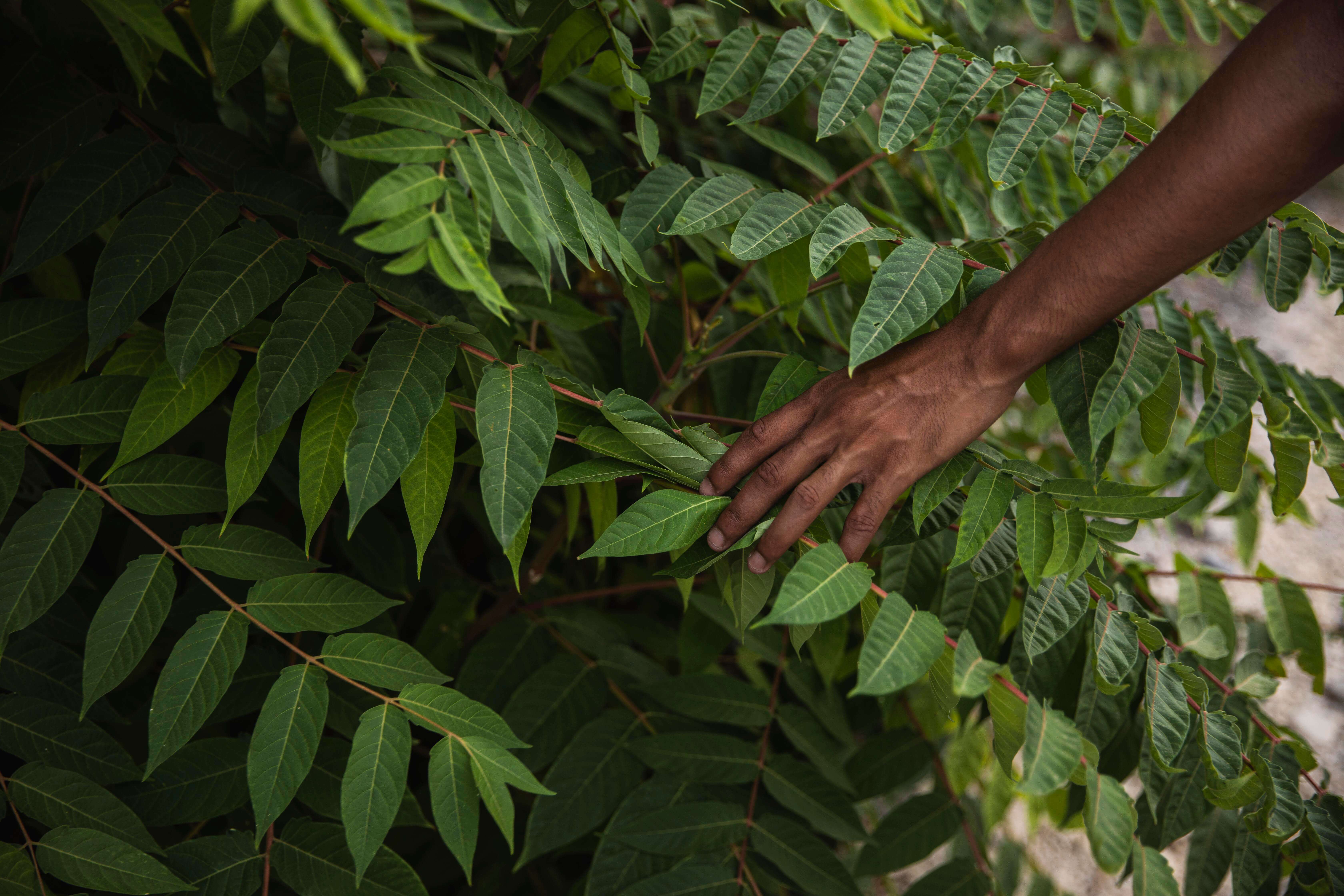 UNA será sede del I Congreso Ambiental de Costa Rica