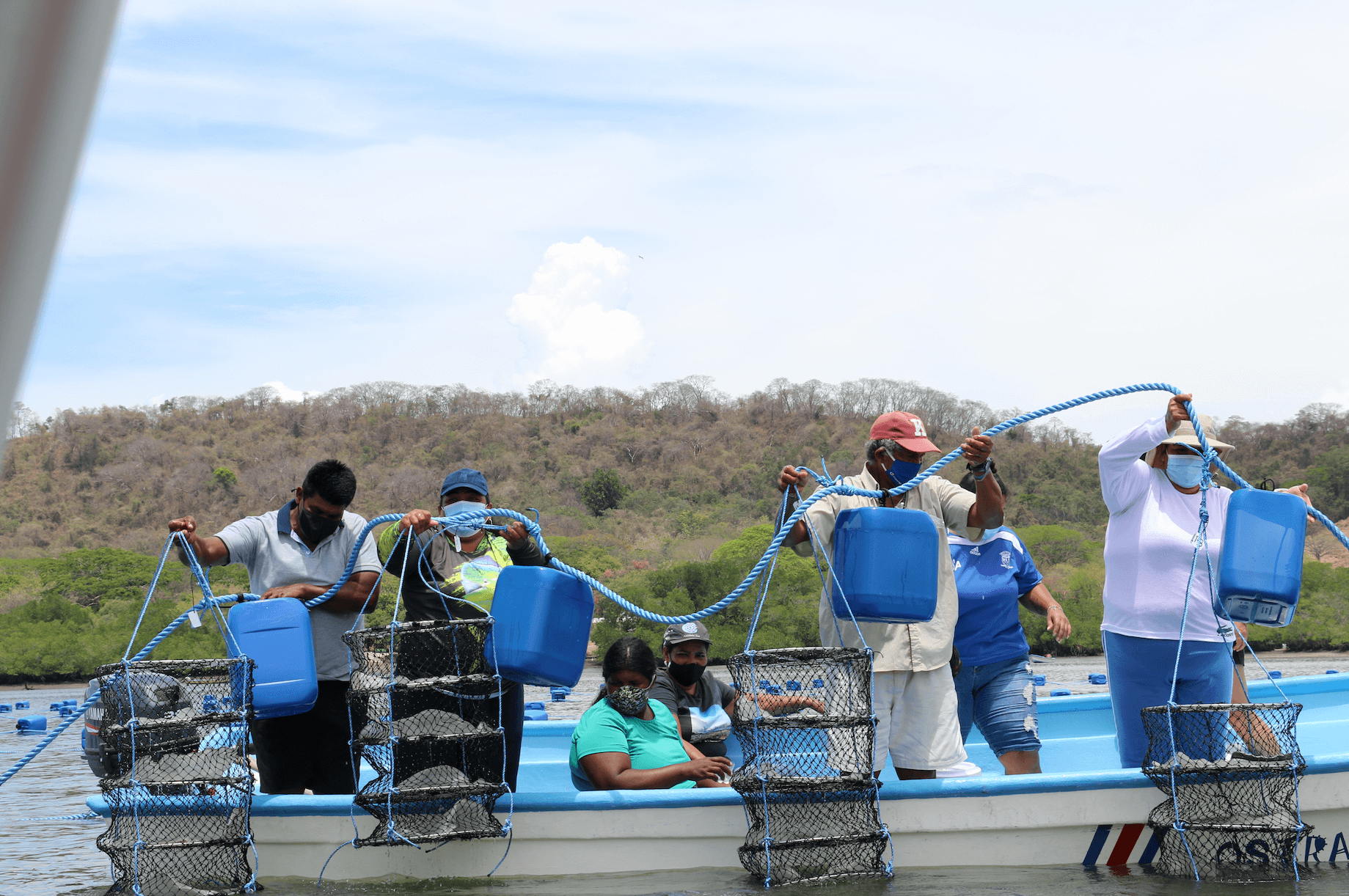 Con ostras inicia siembra de esperanza en Nicoya