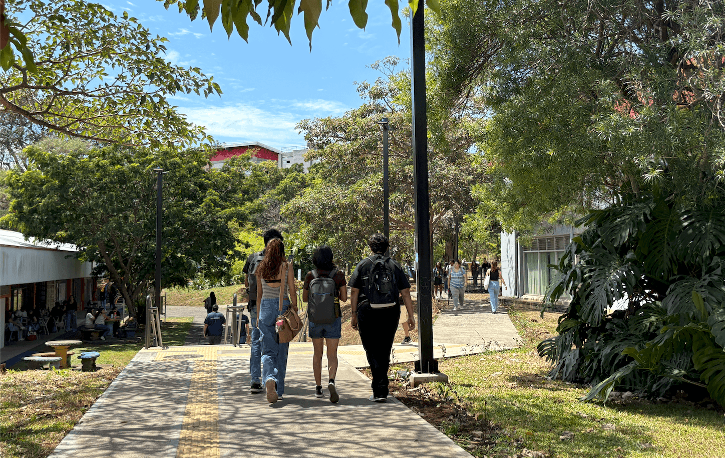 Paro activo en la UNA busca fortalecer discusión sobre el FEES
