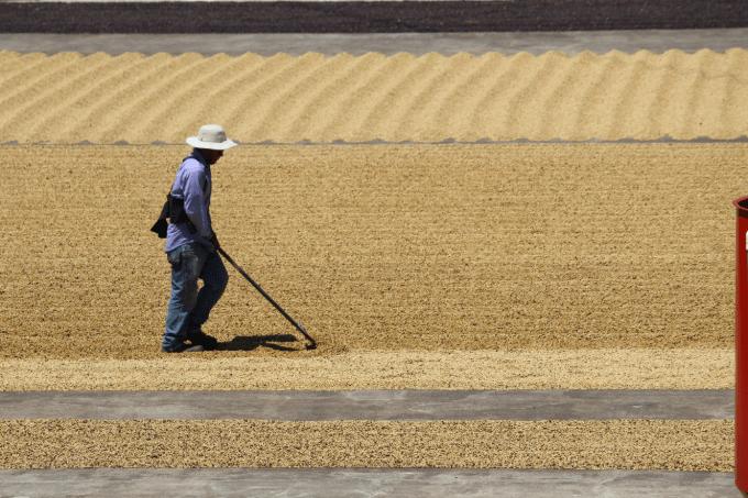 Sector Agroexportador será el más golpeado por limitación de ingreso de migrantes