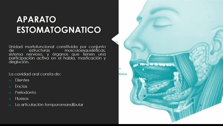 Lo que debo saber tratamientos y procedimientos más comunes en Odontología