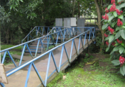Puente de la UNA en proceso de diseño